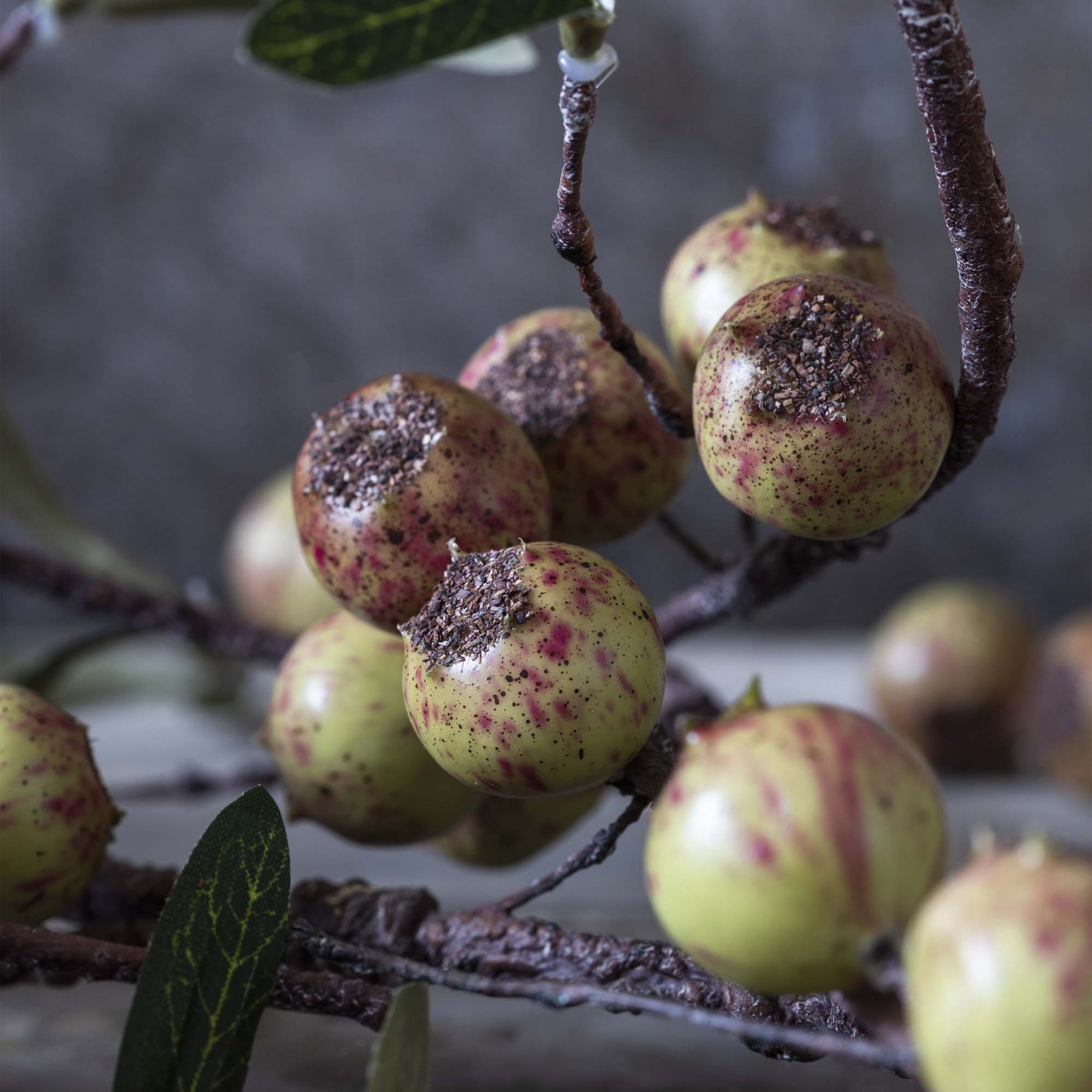 Lenox Westmore Artificial Rosehip Stem, Dappled - Image 3