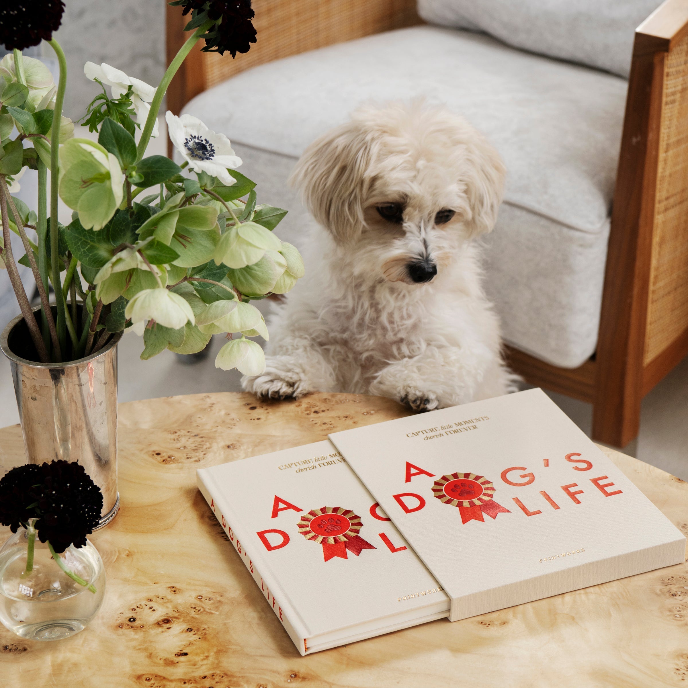 Lenox Westmore A Dog's Life Fill-In Journal - Image 5